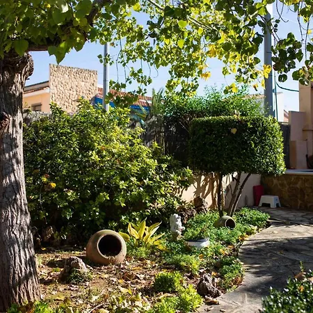 Florit Flats - The Orange Lemon Tree House *