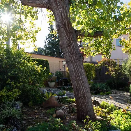 Florit Flats - The Orange Lemon Tree House *