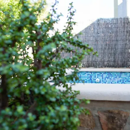 Florit Flats - The Orange Lemon Tree House