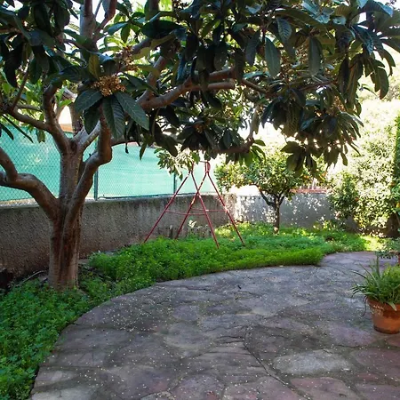 Florit Flats - The Orange Lemon Tree House *