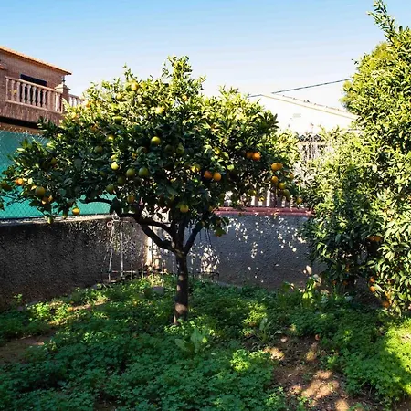 Florit Flats - The Orange Lemon Tree House Сasa de vacaciones *